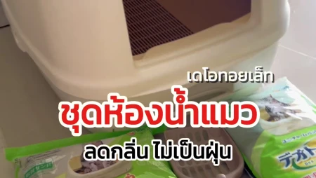 ห้องน้ำแมว Deo-Toilet ทางเลือกใหม่เพื่อบ้านที่สะอาด