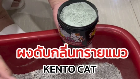 รีวิวผงดับกลิ่นทรายแมว KENTO CAT